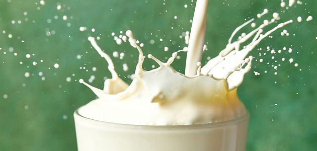 Milk - Meet the Tastemakers