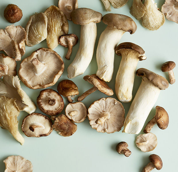 Mushrooms - Meet the Tastemakers