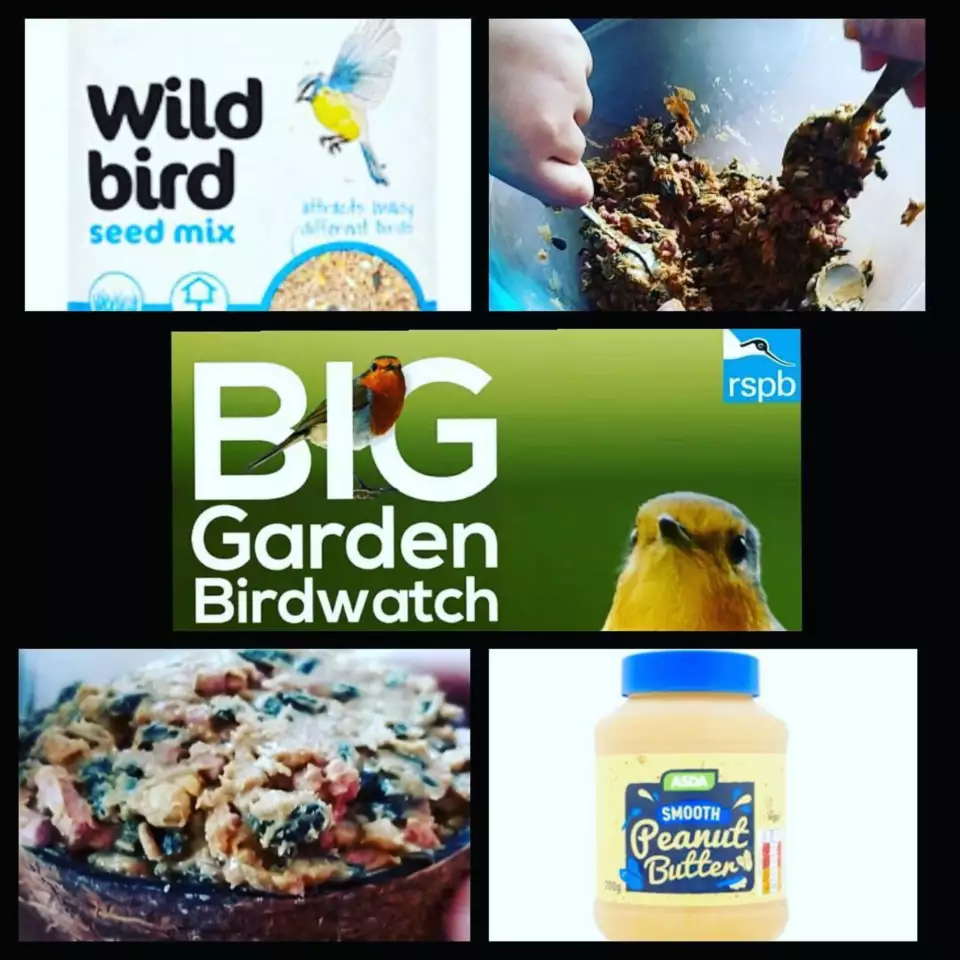 RSPB Big Garden Bird Watch | Asda Blyth