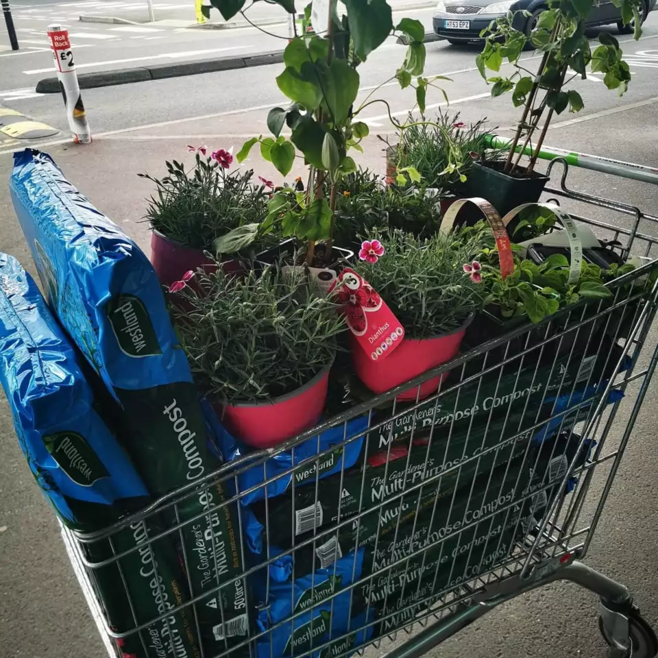 Donating Plants and soil to the Art Shack | Asda St Leonards on Sea