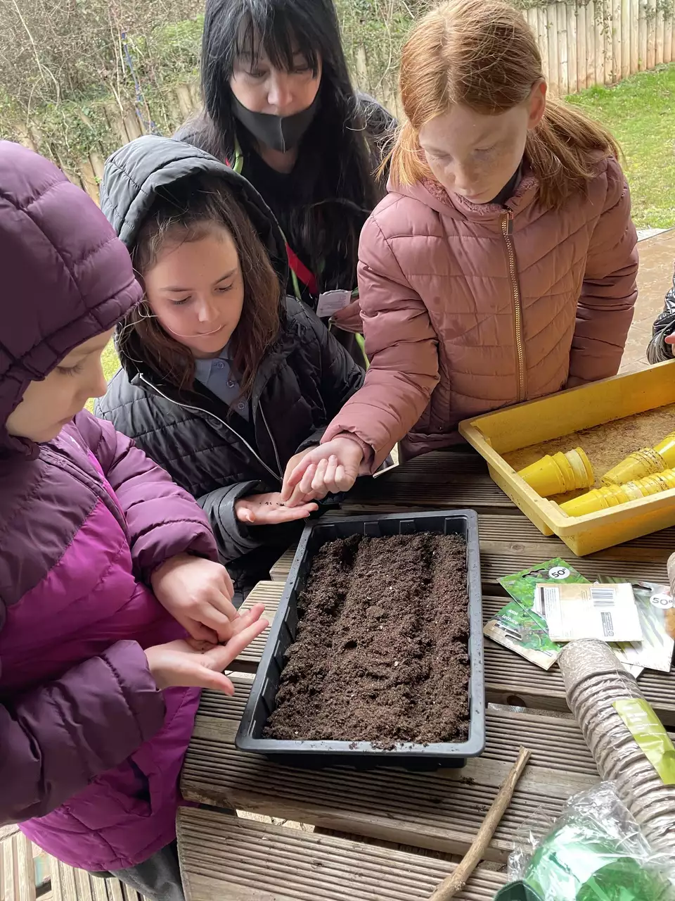 Planting vegetable seeds at Wick Primary School | Asda Longwell Green