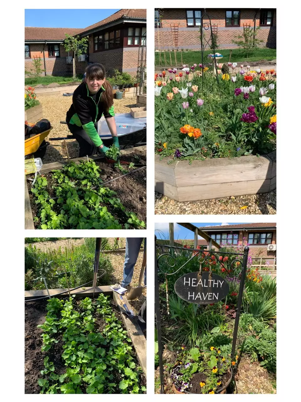 A visit to the Healthy Haven Garden | Asda Totton