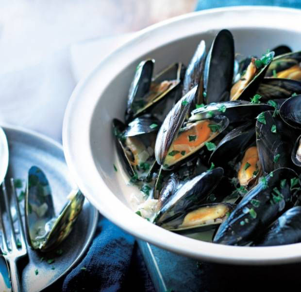 Mussels with cider cream sauce