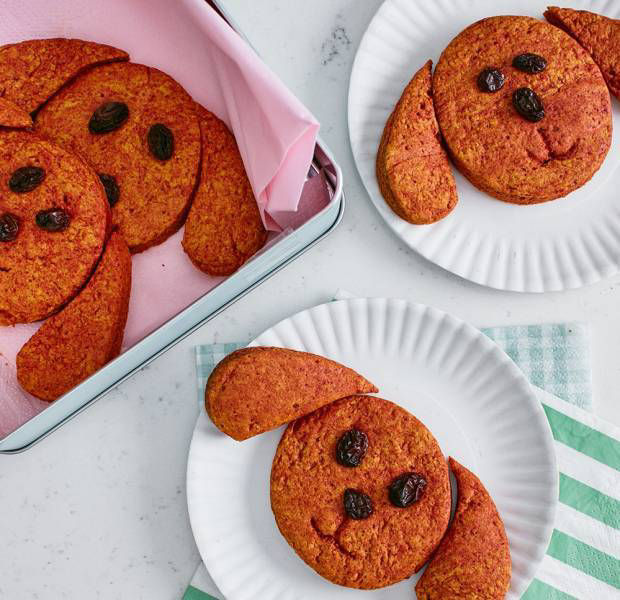 Briony Williams' Doggy Spiced Turmeric Biscuits