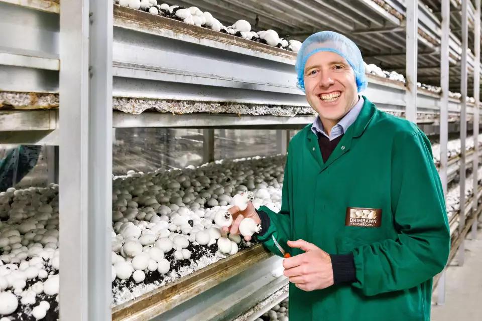 Asda is selling only locally-grown mushrooms from Monaghan Mushrooms at its stores in Yorkshire