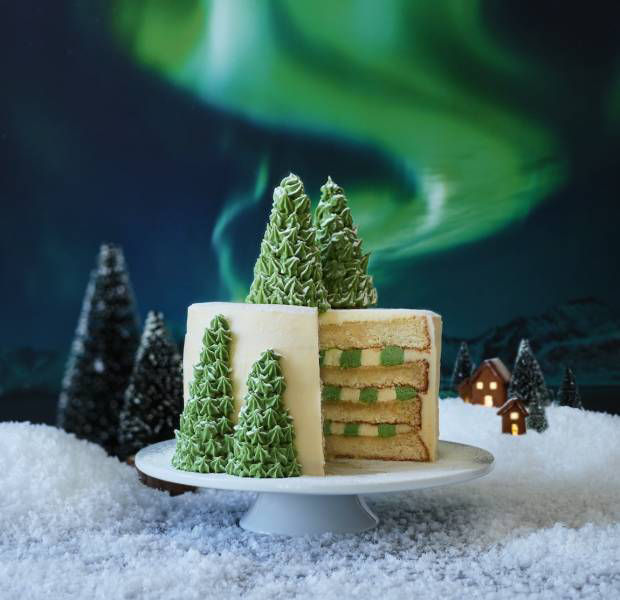 Frosty forest cake